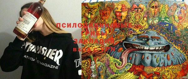 таблы Богданович