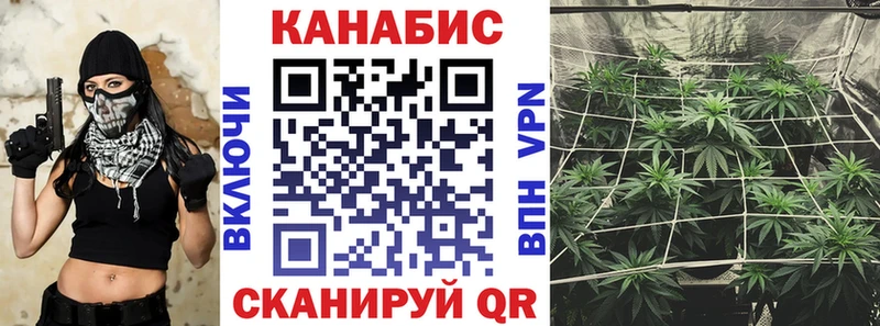 Шишки марихуана тримм  Купить где  Сясьстрой 